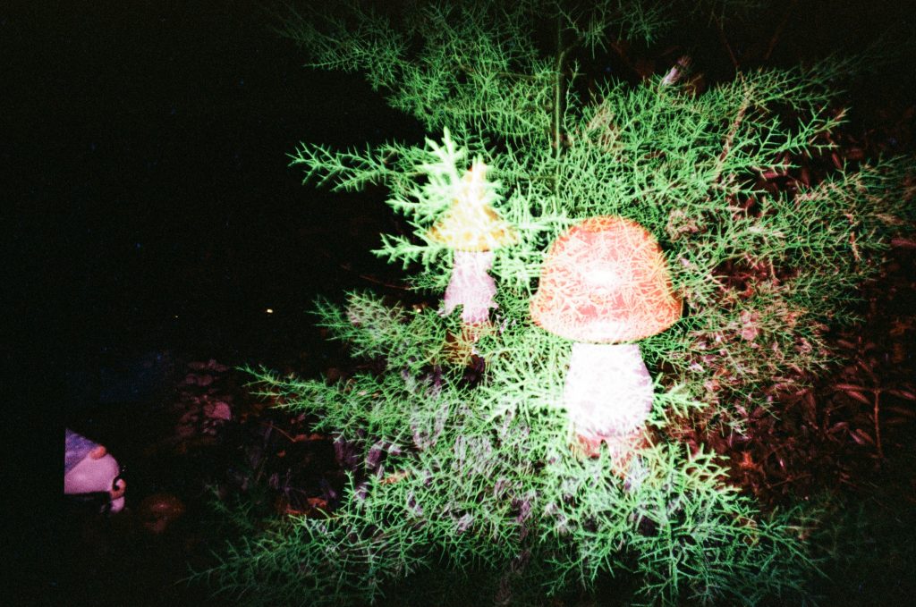 Double exposure of plants and statues