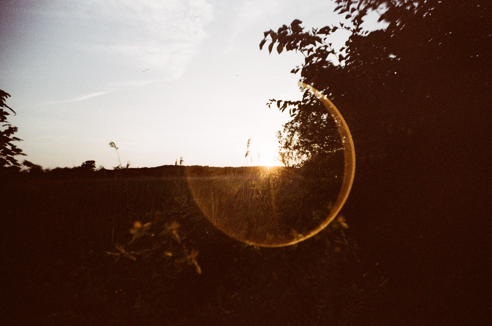 35mm Autumn & Winter ’25